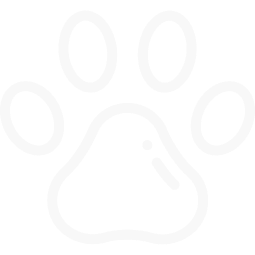 Лапа